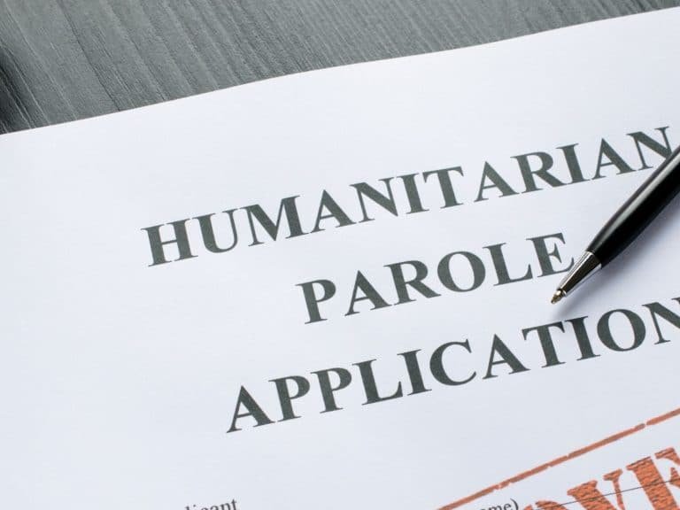 ¿Qué tipos de parole existen y cómo lo podemos ayudar?